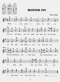 Dulcimer Song Book von Bud Ford 