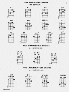 Banjo Chords von Mel Bay im Alle Noten Shop kaufen