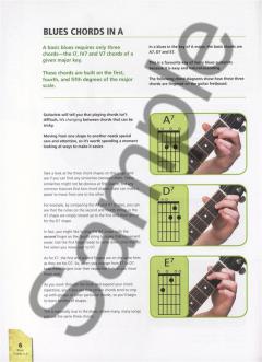 Start-Up: Blues Guitar 