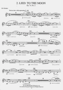 Music Of Brahms For Clarinet von D. Heim 