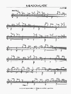 20 Studies In Fixed Positions von Alan Hirsch 
