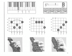 The Musician's Ultimate Picture Chord Encyclopedia von Denis Atkinson 