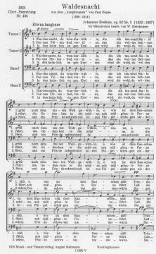 Waldesnacht (Johannes Brahms) 