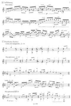 Geisterhaus von Rainer Brunn 