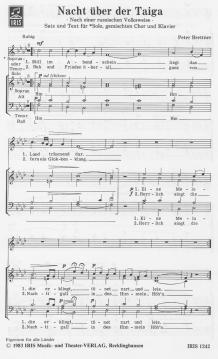 Nacht über der Taiga (Peter Brettner) 