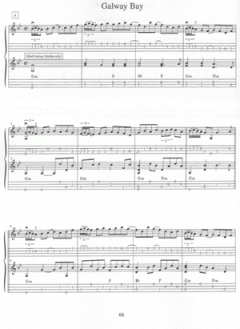 A Guide To Octave Mandolin & Bouzouki von John McGann im Alle Noten Shop kaufen
