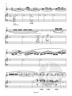 A String of Thoughts von Tilmann Dehnhard für Flöte und Klavier im Alle Noten Shop kaufen