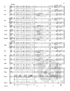 Barnburner von Michael Story (Download) 