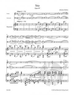 Trio op. 87 (Johannes Brahms) 