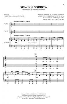 Song Of Sorrow (Patrick M. Liebergen) 