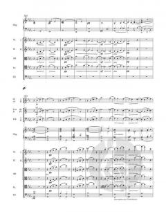 Symphonie Nr. 3 c-Moll op. 78 von Camille Saint-Saëns 