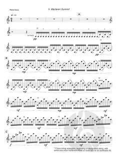The Wind in High Places von John Adams 