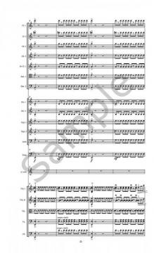 Concerto von Robert Livingston Aldridge für Klarinette und Kammerorchester im Alle Noten Shop kaufen (Partitur)