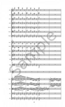 Concerto von Robert Livingston Aldridge für Klarinette und Kammerorchester im Alle Noten Shop kaufen (Partitur)