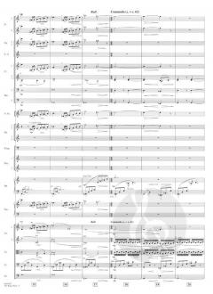 The Book Thief (Die Bücherdiebin) von John Williams 