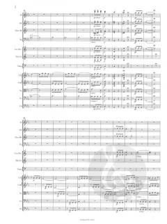 Symphonie Nr. 5 c-moll op. 67 von Ludwig van Beethoven 