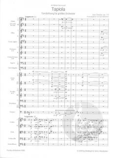 Tapiola op. 112 von Jean Sibelius 