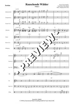 Rauschende Wälder - DOWNLOAD (Moritz Peters) 