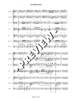 Mein Böhmerland (Wolfgang Vetter-Lohre) 