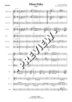 Pilsen-Polka (Ambros Seelos) 