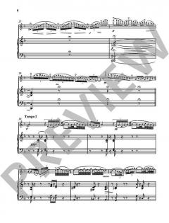 Fantaisie pastorale hongroise op. 26 von Árpád Doppler 