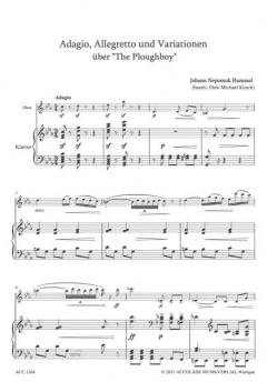 Adagio, Allegretto und Variationen über - The Ploughboy 