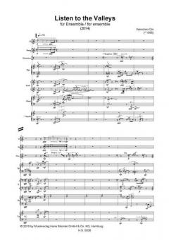 Listen to the Valleys (Wenchen Qin) 