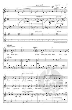 Stars Tonight von Judith Herrington (Download) 