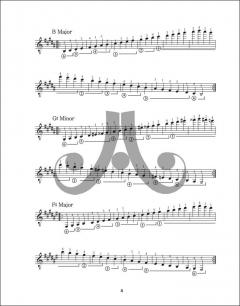 Diatonic Major and Minor Scales for the Modern Guitarist von Jamey Aebersold 