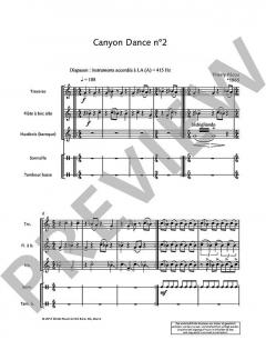 Canyon Dance 2 von Thierry Pecou 