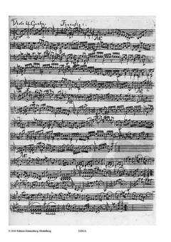 12 Fantasien für Viola da Gamba solo TWV 40:26-37 im Alle Noten Shop kaufen