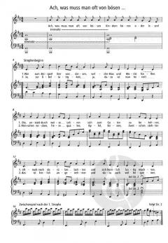 Ein Bach im Busch von Johannes Pöld 