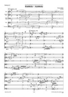 Einblicke-Ausblicke (Thomas Müller) 