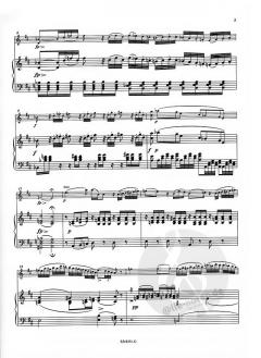 Konzertstück D-Dur D 345 von Franz Schubert für Violine und Klavier im Alle Noten Shop kaufen