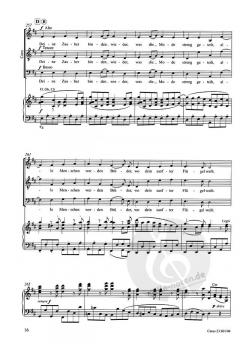 Symphonie Nr. 9. Finale - Ode an die Freude (Ludwig van Beethoven) 