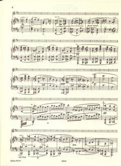 Konzert D-Dur op. 77 von Johannes Brahms für Violine und Orchester im Alle Noten Shop kaufen - EP3893