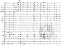The Bare Necessities von Terry Gilkyson (Download) 