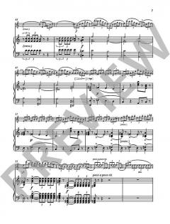 Concerto No. 1 a-Moll von Jean-Baptiste Accolay 