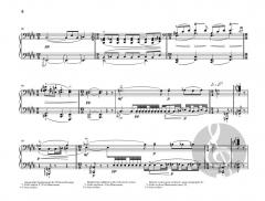 Prélude à l'après-midi d'un faune von Claude Debussy 