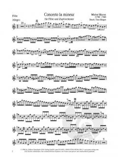 Concerto la mineur von Michel Blavet für Flöte und Zupforchester im Alle Noten Shop kaufen (Partitur)