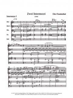 2 Intermezzi von Otto Freudenthal für Zupforchester im Alle Noten Shop kaufen (Partitur)
