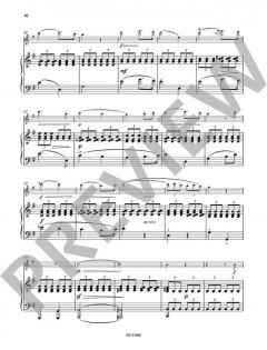 Schwanengesang von Franz Schubert 