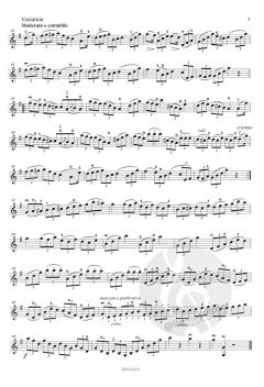 Kleine Melodien-Schule op. 123 - Band 2 von Charles Jean-Baptiste Dancla für Violine und Klavier im Alle Noten Shop kaufen