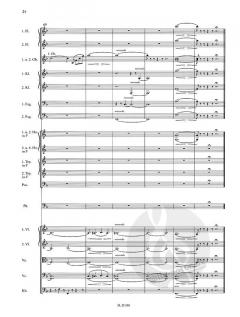 Peine du coeur - Liebesgram von Josef Strauss für Orchester - Erstdruck im Alle Noten Shop kaufen (Partitur)