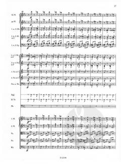 Allegro fantastique von Josef Strauss für Orchester - Erstdruck im Alle Noten Shop kaufen (Partitur)