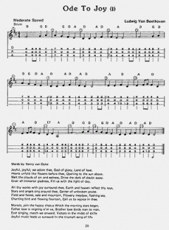 You Can Teach Yourself Dulcimer von Madeline MacNeil 