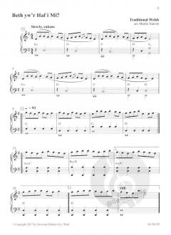 Celtic Accordion 