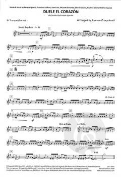 Duele El Corazón (Enrique Iglesias) 