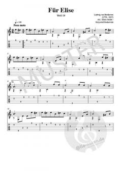 Guitar Guitar (mit 2 CDs) 