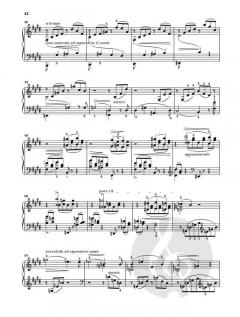 At The Piano - Liszt von Franz Liszt 